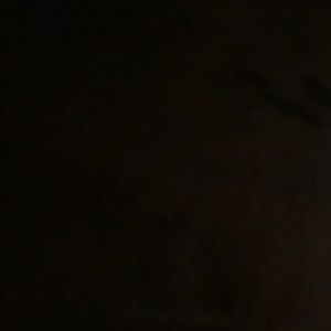 Meet your Posher, Adrienne